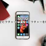 【iOS 14】iPhone でピクチャー・イン・ピクチャーを使う方法